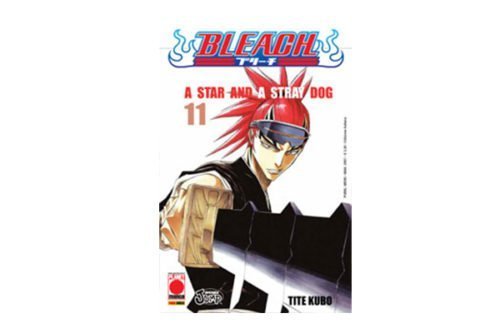 Bleach 11