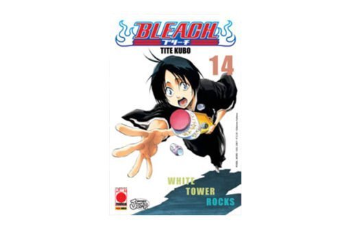 Bleach 14