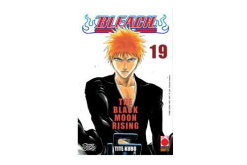 Bleach 19