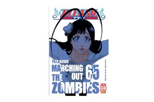 Bleach 65