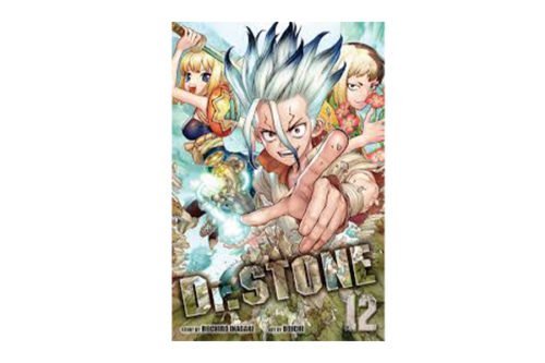 Dr. Stone 12